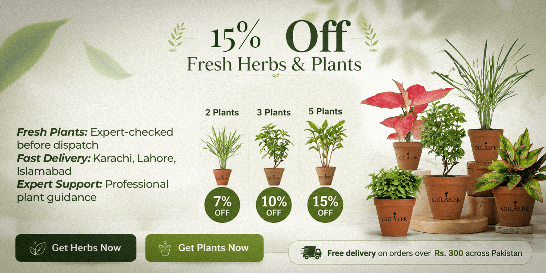 Gulab.pk Plant Sale: Save Up to 15% on Fresh Plants