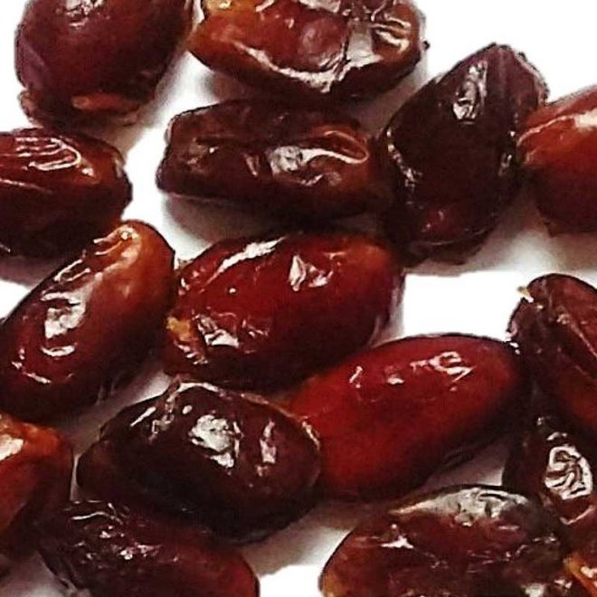 Aseel Date Palm