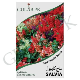 Salvia Seeds