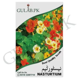 Nasturtium Seeds