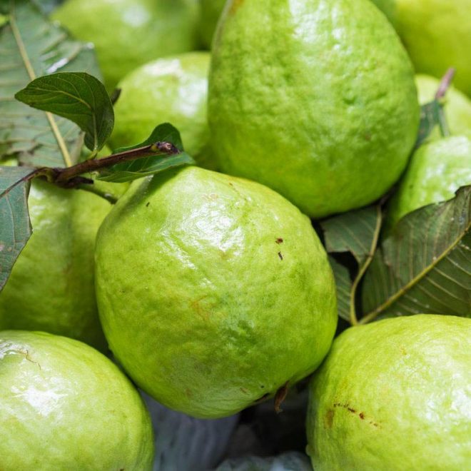 Ramzani Guava