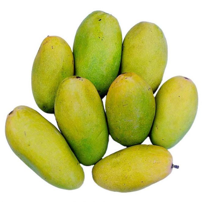 Saroli Mango