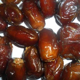 Aseel Date Palm
