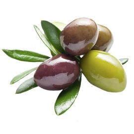 Olive (زیتون)